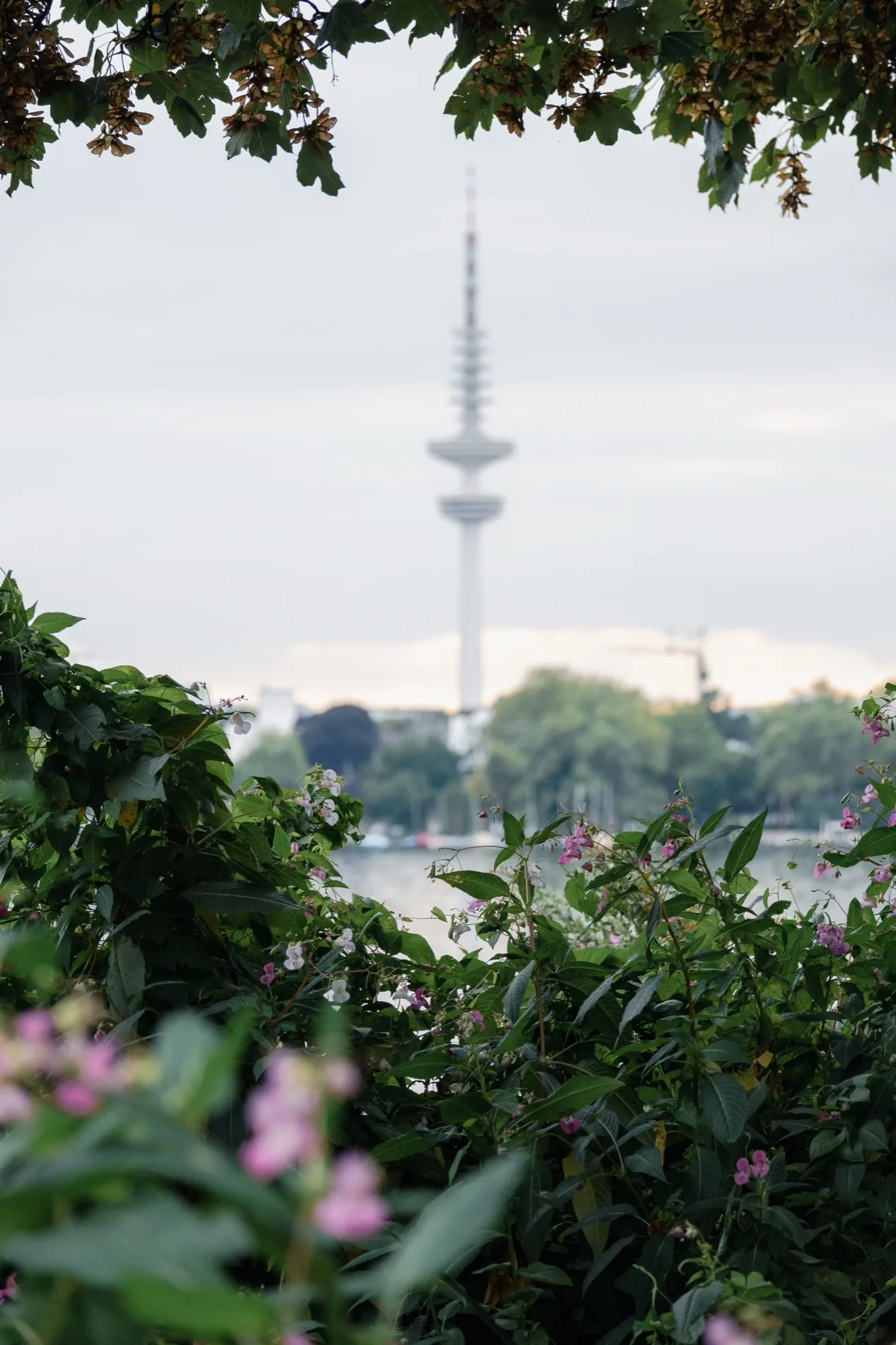 Weg an der Alster in Hamburg — Ruhe und Gespräch
